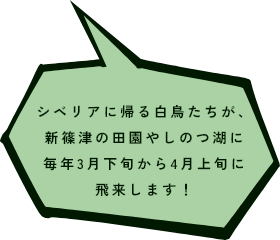 広大なロケーションで楽しもう♪